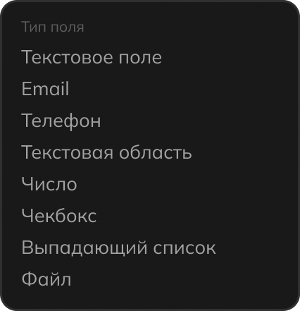 Типы полей в конструкторе форм